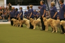 Discover Dogs111106_VGL5911.jpg